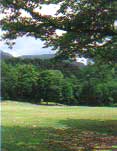樹木公園（石川県林業試験場）